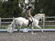 Image 23 in OPTIMUM EVENT MANAGEMENT. DRESSAGE AT GROVE HOUSE FARM. 9th SEPTEMBER 2018