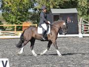 Image 3 in OPTIMUM EVENT MANAGEMENT. DRESSAGE AT GROVE HOUSE FARM. 9th SEPTEMBER 2018