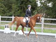 Image 32 in OPTIMUM EVENT MANAGEMENT. DRESSAGE AT GROVE HOUSE FARM. 9th SEPTEMBER 2018