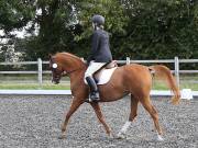 Image 34 in OPTIMUM EVENT MANAGEMENT. DRESSAGE AT GROVE HOUSE FARM. 9th SEPTEMBER 2018