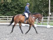 Image 36 in OPTIMUM EVENT MANAGEMENT. DRESSAGE AT GROVE HOUSE FARM. 9th SEPTEMBER 2018