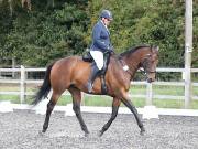 Image 37 in OPTIMUM EVENT MANAGEMENT. DRESSAGE AT GROVE HOUSE FARM. 9th SEPTEMBER 2018