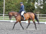 Image 4 in OPTIMUM EVENT MANAGEMENT. DRESSAGE AT GROVE HOUSE FARM. 9th SEPTEMBER 2018