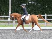 Image 41 in OPTIMUM EVENT MANAGEMENT. DRESSAGE AT GROVE HOUSE FARM. 9th SEPTEMBER 2018