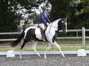 Image 44 in OPTIMUM EVENT MANAGEMENT. DRESSAGE AT GROVE HOUSE FARM. 9th SEPTEMBER 2018