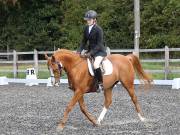 Image 45 in OPTIMUM EVENT MANAGEMENT. DRESSAGE AT GROVE HOUSE FARM. 9th SEPTEMBER 2018