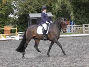 Image 49 in OPTIMUM EVENT MANAGEMENT. DRESSAGE AT GROVE HOUSE FARM. 9th SEPTEMBER 2018