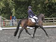 Image 51 in OPTIMUM EVENT MANAGEMENT. DRESSAGE AT GROVE HOUSE FARM. 9th SEPTEMBER 2018