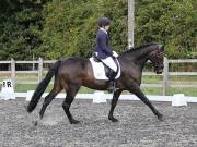 Image 57 in OPTIMUM EVENT MANAGEMENT. DRESSAGE AT GROVE HOUSE FARM. 9th SEPTEMBER 2018
