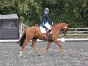 Image 6 in OPTIMUM EVENT MANAGEMENT. DRESSAGE AT GROVE HOUSE FARM. 9th SEPTEMBER 2018