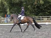 Image 60 in OPTIMUM EVENT MANAGEMENT. DRESSAGE AT GROVE HOUSE FARM. 9th SEPTEMBER 2018