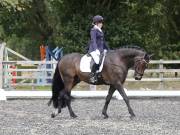 Image 62 in OPTIMUM EVENT MANAGEMENT. DRESSAGE AT GROVE HOUSE FARM. 9th SEPTEMBER 2018