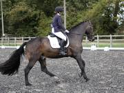 Image 63 in OPTIMUM EVENT MANAGEMENT. DRESSAGE AT GROVE HOUSE FARM. 9th SEPTEMBER 2018