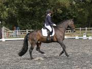 Image 70 in OPTIMUM EVENT MANAGEMENT. DRESSAGE AT GROVE HOUSE FARM. 9th SEPTEMBER 2018