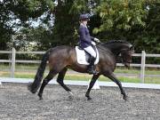Image 73 in OPTIMUM EVENT MANAGEMENT. DRESSAGE AT GROVE HOUSE FARM. 9th SEPTEMBER 2018