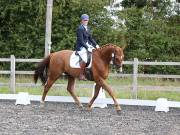 Image 8 in OPTIMUM EVENT MANAGEMENT. DRESSAGE AT GROVE HOUSE FARM. 9th SEPTEMBER 2018