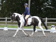 Image 83 in OPTIMUM EVENT MANAGEMENT. DRESSAGE AT GROVE HOUSE FARM. 9th SEPTEMBER 2018