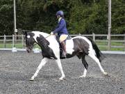 Image 84 in OPTIMUM EVENT MANAGEMENT. DRESSAGE AT GROVE HOUSE FARM. 9th SEPTEMBER 2018