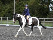 Image 85 in OPTIMUM EVENT MANAGEMENT. DRESSAGE AT GROVE HOUSE FARM. 9th SEPTEMBER 2018