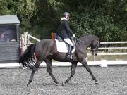 Image 86 in OPTIMUM EVENT MANAGEMENT. DRESSAGE AT GROVE HOUSE FARM. 9th SEPTEMBER 2018