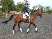 Image 87 in OPTIMUM EVENT MANAGEMENT. DRESSAGE AT GROVE HOUSE FARM. 9th SEPTEMBER 2018