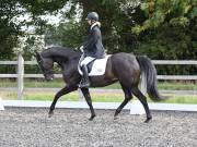 Image 89 in OPTIMUM EVENT MANAGEMENT. DRESSAGE AT GROVE HOUSE FARM. 9th SEPTEMBER 2018