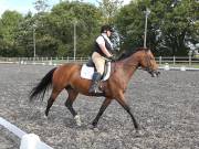 Image 92 in OPTIMUM EVENT MANAGEMENT. DRESSAGE AT GROVE HOUSE FARM. 9th SEPTEMBER 2018