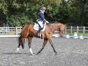 Image 94 in OPTIMUM EVENT MANAGEMENT. DRESSAGE AT GROVE HOUSE FARM. 9th SEPTEMBER 2018