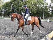 Image 95 in OPTIMUM EVENT MANAGEMENT. DRESSAGE AT GROVE HOUSE FARM. 9th SEPTEMBER 2018