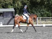 Image 96 in OPTIMUM EVENT MANAGEMENT. DRESSAGE AT GROVE HOUSE FARM. 9th SEPTEMBER 2018