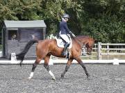 Image 99 in OPTIMUM EVENT MANAGEMENT. DRESSAGE AT GROVE HOUSE FARM. 9th SEPTEMBER 2018