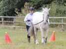 Image 100 in BROADLAND CARRIAGE DRIVING CLUB 22 JULY 2018