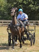 Image 101 in BROADLAND CARRIAGE DRIVING CLUB 22 JULY 2018