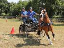 Image 102 in BROADLAND CARRIAGE DRIVING CLUB 22 JULY 2018