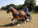 Image 103 in BROADLAND CARRIAGE DRIVING CLUB 22 JULY 2018