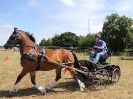 Image 104 in BROADLAND CARRIAGE DRIVING CLUB 22 JULY 2018