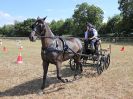 Image 105 in BROADLAND CARRIAGE DRIVING CLUB 22 JULY 2018
