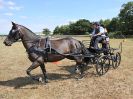 Image 106 in BROADLAND CARRIAGE DRIVING CLUB 22 JULY 2018