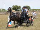 Image 107 in BROADLAND CARRIAGE DRIVING CLUB 22 JULY 2018