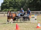 Image 108 in BROADLAND CARRIAGE DRIVING CLUB 22 JULY 2018