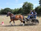Image 109 in BROADLAND CARRIAGE DRIVING CLUB 22 JULY 2018