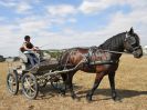 Image 111 in BROADLAND CARRIAGE DRIVING CLUB 22 JULY 2018