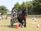 Image 112 in BROADLAND CARRIAGE DRIVING CLUB 22 JULY 2018
