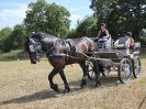 Image 113 in BROADLAND CARRIAGE DRIVING CLUB 22 JULY 2018