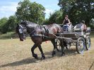 Image 113 in BROADLAND CARRIAGE DRIVING CLUB 22 JULY 2018