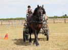 Image 114 in BROADLAND CARRIAGE DRIVING CLUB 22 JULY 2018