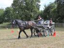 Image 115 in BROADLAND CARRIAGE DRIVING CLUB 22 JULY 2018
