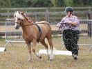 Image 12 in BROADLAND CARRIAGE DRIVING CLUB 22 JULY 2018