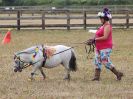 Image 14 in BROADLAND CARRIAGE DRIVING CLUB 22 JULY 2018