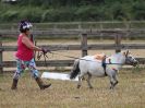 Image 15 in BROADLAND CARRIAGE DRIVING CLUB 22 JULY 2018